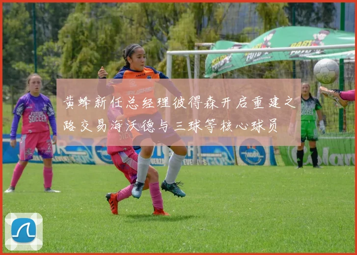 黄蜂新任总经理彼得森开启重建之路交易海沃德与三球等核心球员